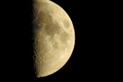 DSCN4949