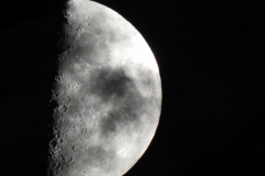 DSCN4970