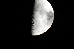 DSCN4974