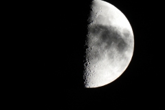 DSCN4975