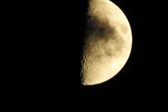 DSCN4976