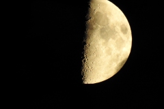 DSCN4978