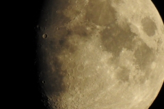 DSCN5355