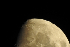 DSCN5356