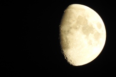 DSCN5358