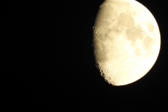 DSCN5359