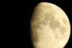 DSCN5362