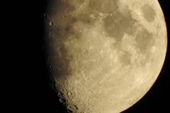 DSCN5364