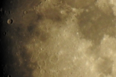 DSCN5365