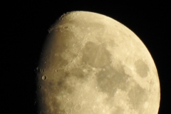 DSCN5367