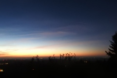 DSCN5368