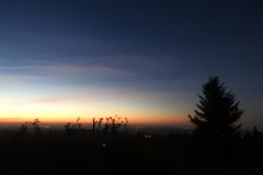 DSCN5369