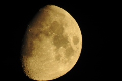 DSCN5370