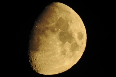 DSCN5371