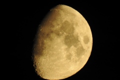 DSCN5372
