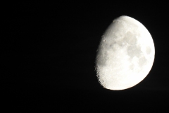 DSCN5374