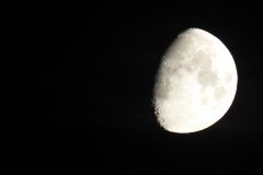 DSCN5375