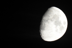 DSCN5376