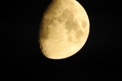 DSCN5377