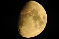 DSCN5378