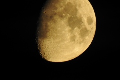 DSCN5379