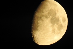 DSCN5380