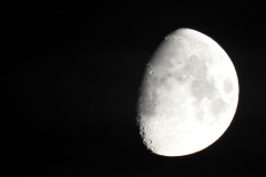 DSCN5381