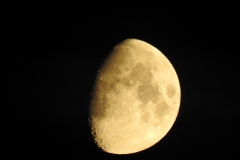 DSCN5382