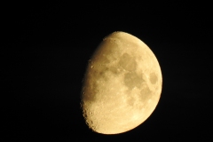 DSCN5383