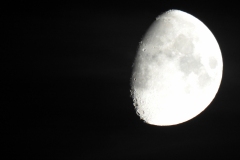 DSCN5385