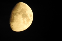 DSCN5387
