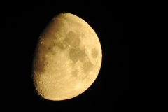 DSCN5389