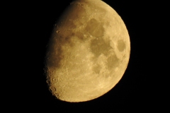 DSCN5391