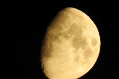 DSCN5393