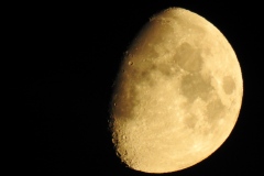 DSCN5395