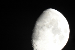 DSCN5397