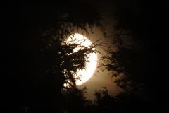 DSCN5404