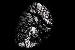 DSCN5887