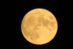 DSCN5920