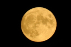 DSCN5922