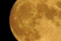 DSCN5924