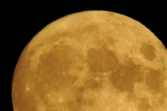 DSCN5925