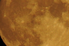 DSCN5926