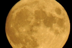 DSCN5927
