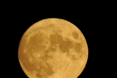 DSCN5928