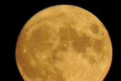 DSCN5929