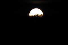 DSCN5931