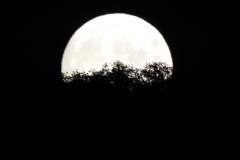 DSCN5932