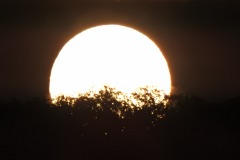 DSCN5933