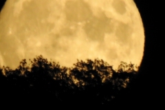 DSCN5936